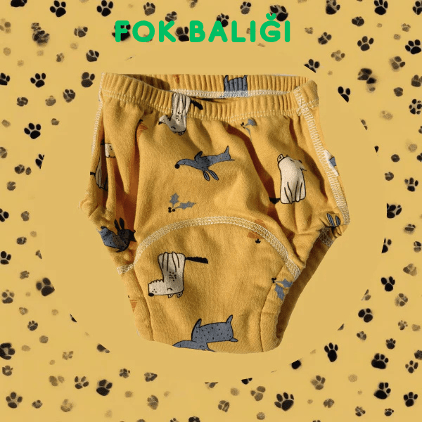 Tuvalet Eğitimi İç Çamaşırı